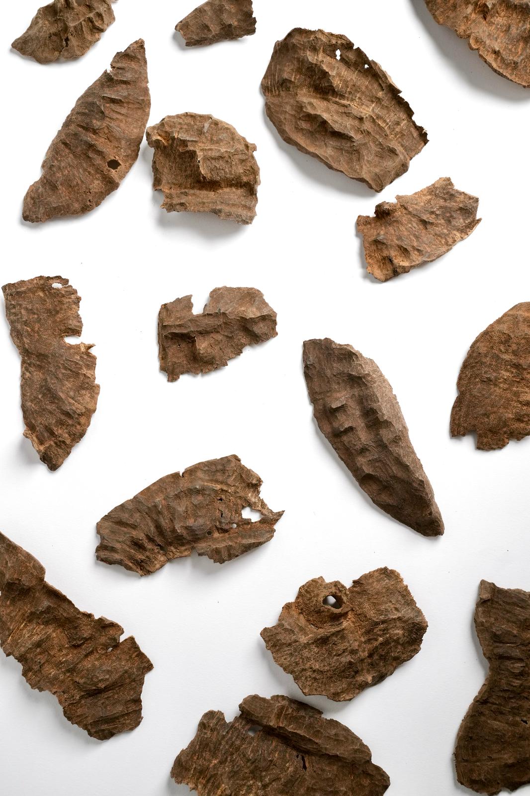 Bukhoor Char - Hindi