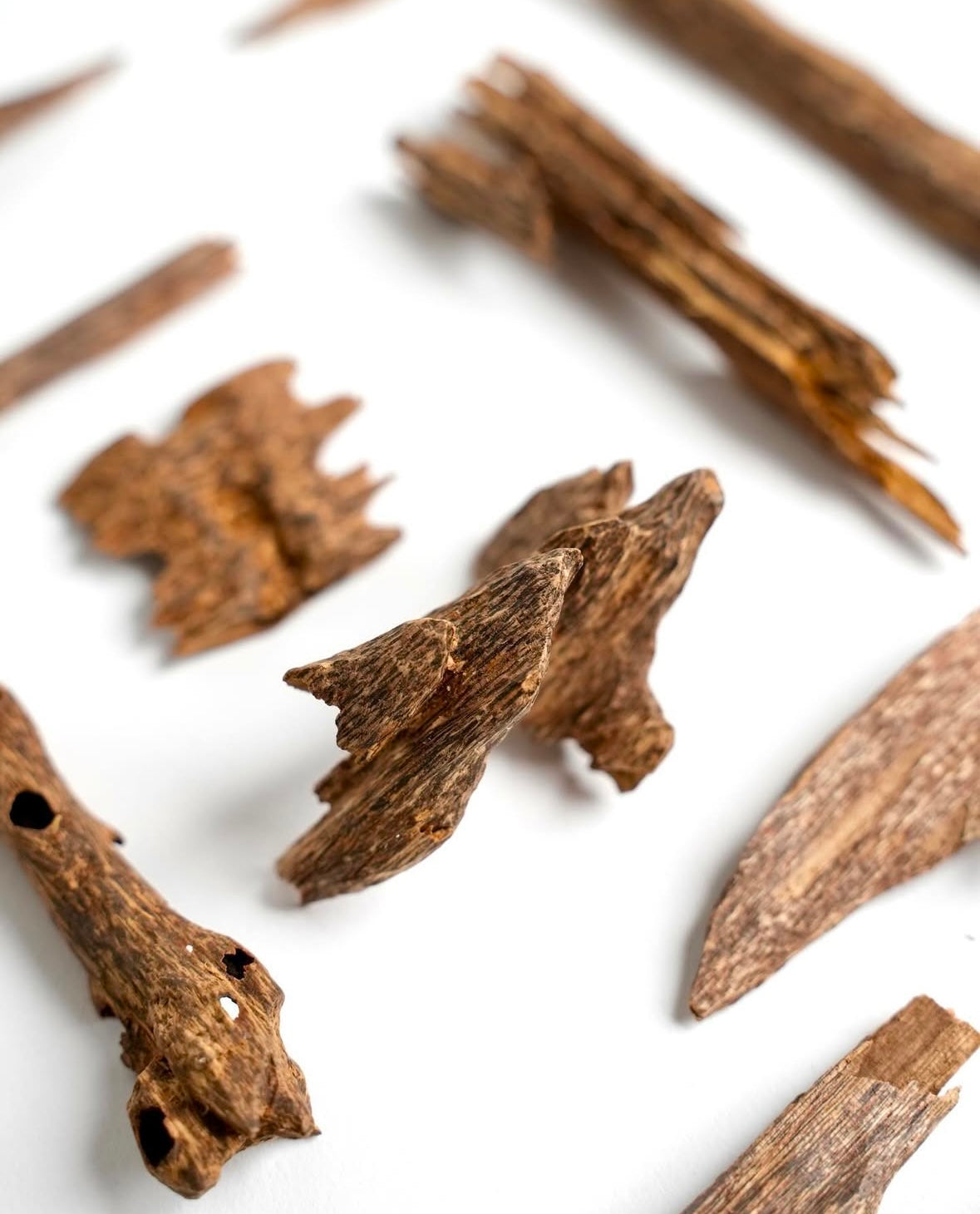 Bukhoor Kodimori - Hindi