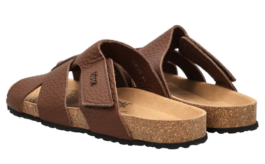 VITAL NATURE - QUINTINO 2