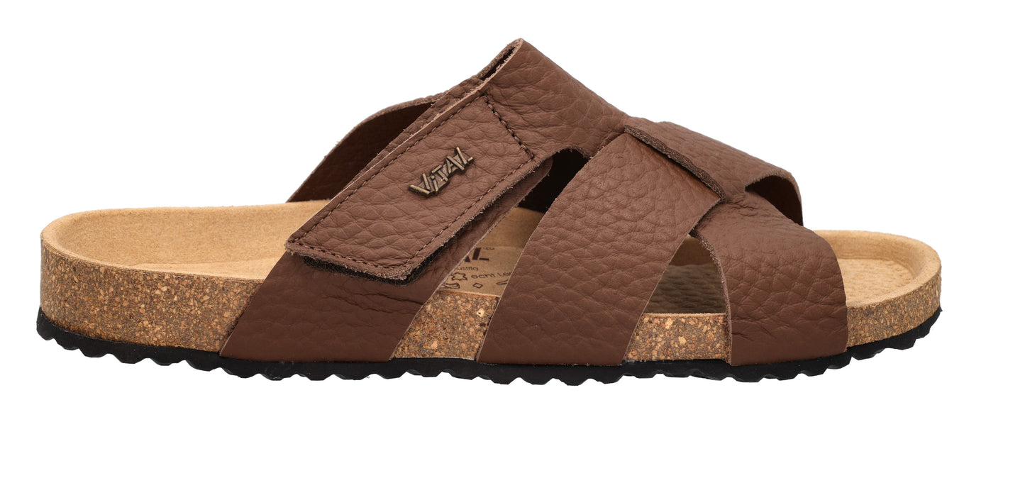 VITAL NATURE - QUINTINO 2